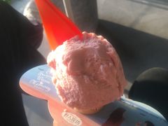 -野人牧坊Gelato(天津南开大悦城店)