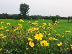 -东郊湿地公园