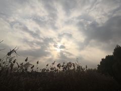 -丰台科技园生态主题公园