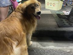 -拾叁茶(罗汉巷店)