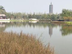 -西海子公园