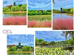 -上海鲜花港