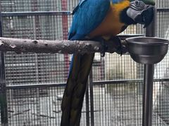 -观桥阁(锦溪店)