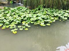-中国湿地博物馆