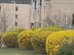 -大连金石滩绿发温泉假日酒店