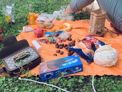 -铁山坪森林公园