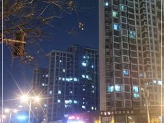 -阿庄新豫菜(通泰路店)