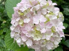 -常州古运河南大街文化旅游区-人民公园