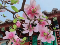 -丰台花园