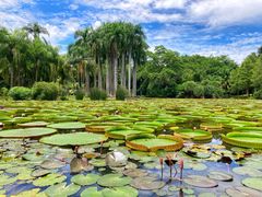 -中国科学院西双版纳热带植物园
