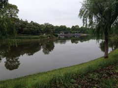 iphone_upload_pic-上海鲜花港