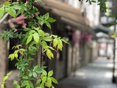 -星巴克(宁波老外滩店)