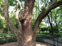 -徐家汇源景区-衡山公园