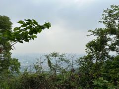 -杭州半山国家森林公园