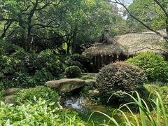 -中国茶叶博物馆(双峰馆区)