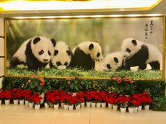 -成都驻京办餐厅(蜀都宾馆店)