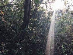 -狐尾山公园