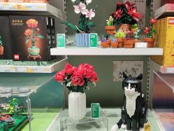 -乐高授权专卖店(中关村领展店)