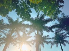 -西安国际创新人才交流中心•药浴温泉