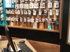 -sundanpulse顺电·脉(海岸城购物中心店)