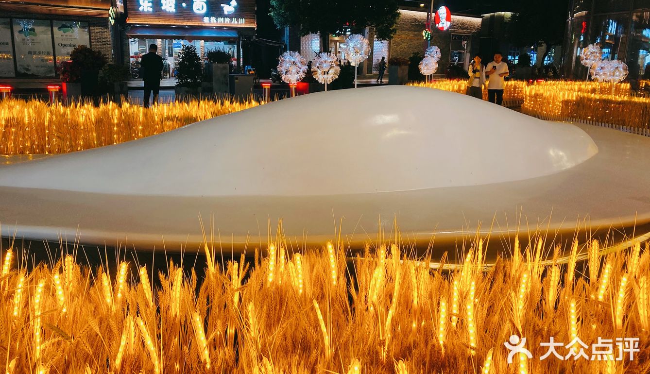 湖滨的麦子黄了!