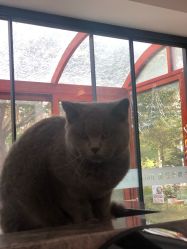 -JC·YOGA静禅瑜伽普拉提