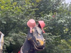 -将军关探险漂流