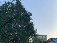 -回坊马二饺子馆
