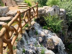 -北京西山国家森林公园