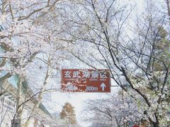 -鸡鸣寺
