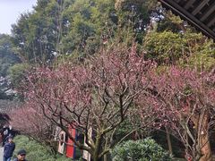 -成都杜甫草堂博物馆