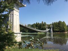 -东湖落雁景区