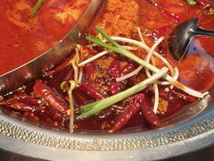 -辣伍鲜毛肚老火锅(元一店)