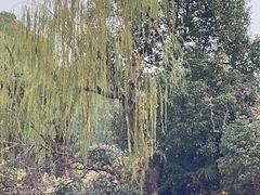 -黄兴公园