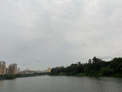 -万绿园