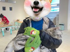 -怪兽屋·羊驼·猫咖·狗咖(俊华广场店)