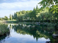 -贡湖湾湿地公园