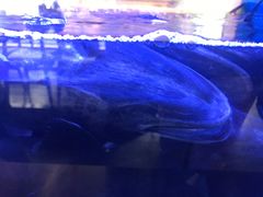 -鱼豆吉·豆浆鱼火锅(宜昌万达店)