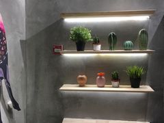 -素匠泰茶(三里屯SOHO工体奶茶店)