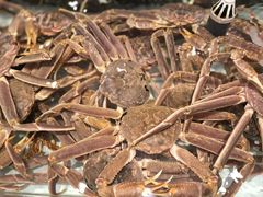 -万龙洲海鲜(大兴绿地缤纷城店)