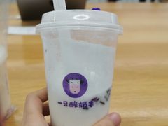 -一只酸奶牛(八一路店)