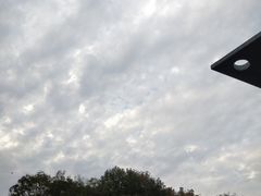 -华中师范大学-图书馆