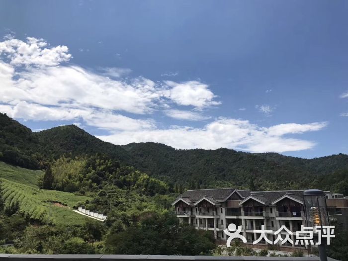 陽明溫泉山莊-圖片-餘姚美食-大眾點評網