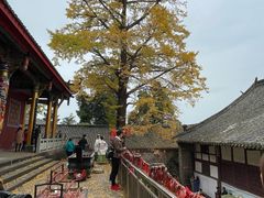 -金堂县云顶石城风景区