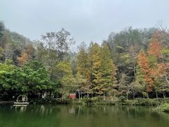 -桂林古东瀑布景区