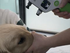 -嘉馨宠物医院·CT影像转诊·心脏科·犬猫全科诊疗中心(下沙大学城院区)