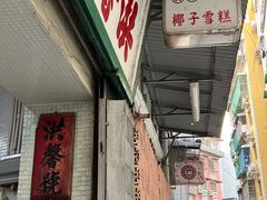 -洪馨椰子