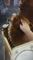 -Zoolung Zoolung动物主题公园(海信广场店)