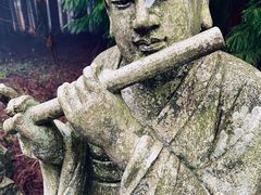 -武陵山森林公园