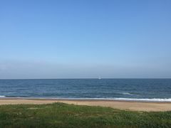 -日照海滨国家森林公园